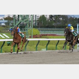 オープン→重賞と2連勝