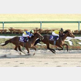 フェブラリーSは0秒1差②着
