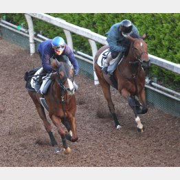首差先着したエアスピネル(左)