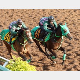 今週は坂路で半馬身先着(右)