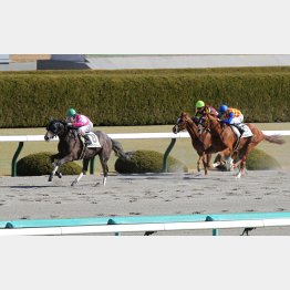 未勝利戦を楽勝
