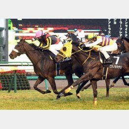 初富士Sを快勝