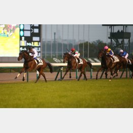 1勝級は千八でV