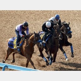 直前は〝尾関流〟で総仕上げ