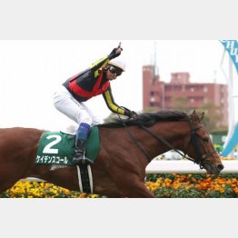 京都金杯を押し切り