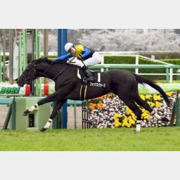 春興Sでオープン入り