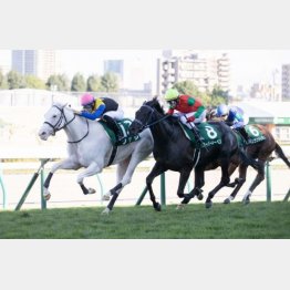 札幌2歳Sではソダシと差のない競馬