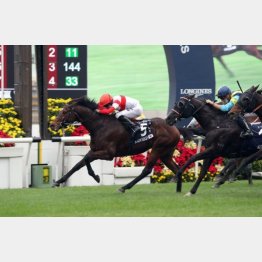 父と同じ5歳暮れに現地でGⅠ勝ち(The Hong Kong Jockey Club)