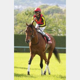 ①着ケイデンスコール(古川吉騎手)「走るイメージだけ、いいレースのイメージで」