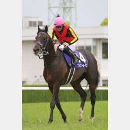 ここ2年はルメール騎乗のフィエールマンが勝利