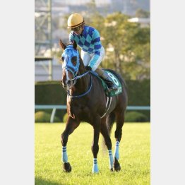 京都2歳Sを快勝