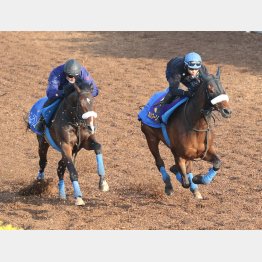 併せた相手(左)と併入だった