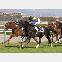 前走も完勝
