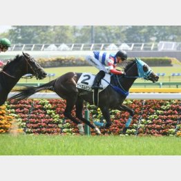 同舞台で快勝