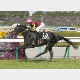 松籟Sを快勝