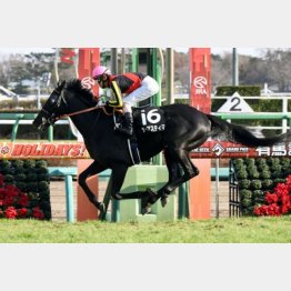 グッドラックHを圧勝
