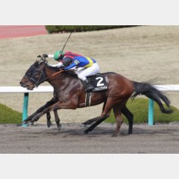 3勝クラスⅤは重馬場でのもの