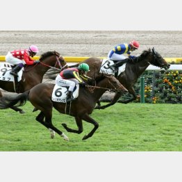 逃げ切って2勝目
