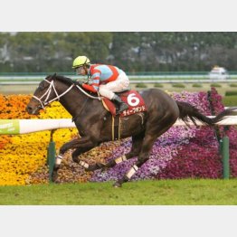 阪神大賞典を圧勝