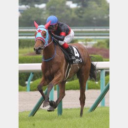 千八の城崎特別で1勝クラスをV