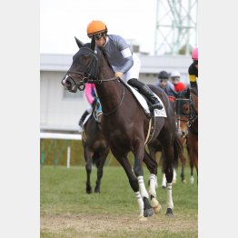 上昇度が目立つ