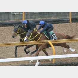 今週は外の相手と併入