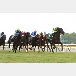 18年は7歳馬同士のワン・ツー