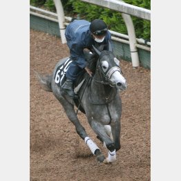 仕上がりも文句なし