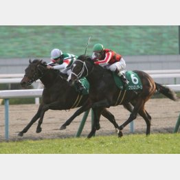 3歳時にはシンザン記念で首差②着