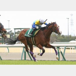 ファルコンSで重賞制覇