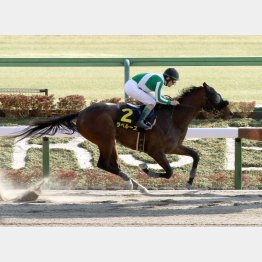 ヒヤシンスSを快勝