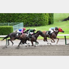 この舞台で2勝クラスV