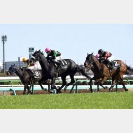 前走は重馬場を気にしながらも③着と健闘