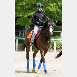 急激に馬体が良化