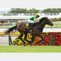 2連勝で大舞台へ