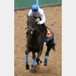 クールキャットは馬なりで1F12秒1