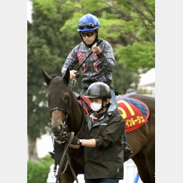 直前は美浦に駆けつけて感触を確かめた