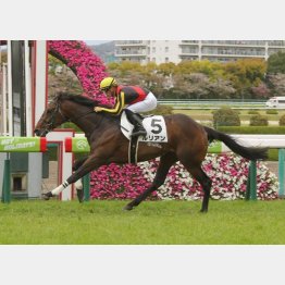 2連勝で1勝クラスを突破