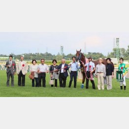○ライオンボスは一昨年にアイビスSD勝ち
