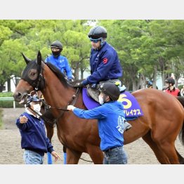 ルメールが1週前追い切りに騎乗