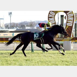 ダイヤモンドSで東京4勝目