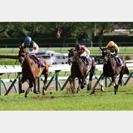 皐月賞はエフフォーリアが3馬身差つけた