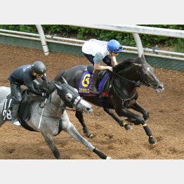 レースと同様に切れた(奥)