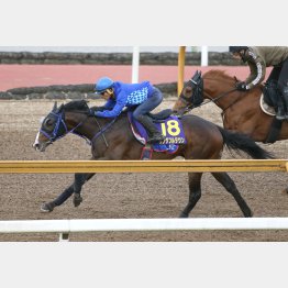 直前追いは〝A〟評価
