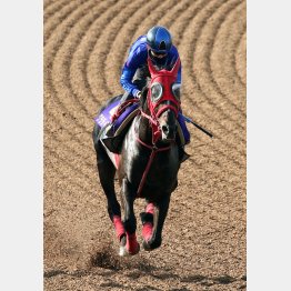 今週も松山が騎乗