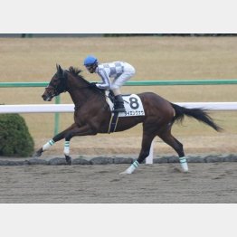 4馬身差でデビュー勝ち