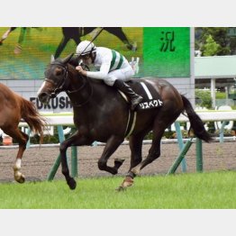 開成山特別以来のVだ