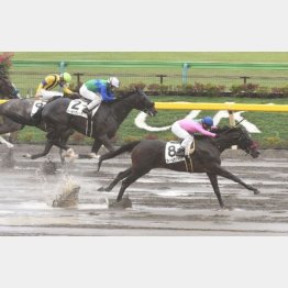 この舞台で現級③着も(最内)