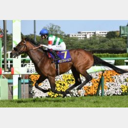皐月賞は3馬身差