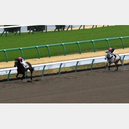 前回は大楽勝のハンメルフェスト